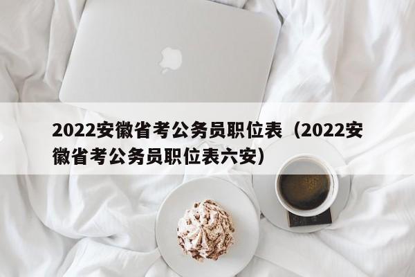 2022安徽省考公务员职位表（2022安徽省考公务员职位表六安）