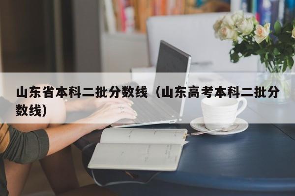 山东省本科二批分数线（山东高考本科二批分数线）