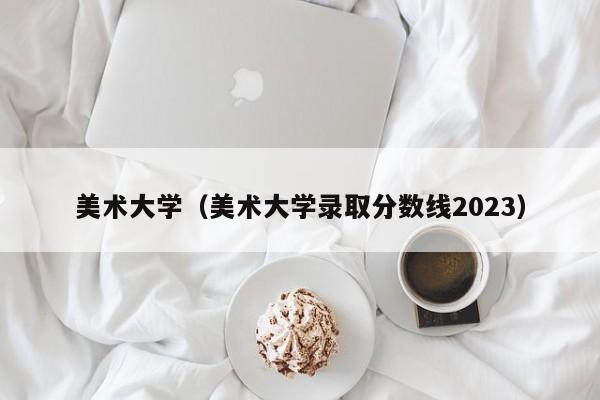 美术大学（美术大学录取分数线2023）