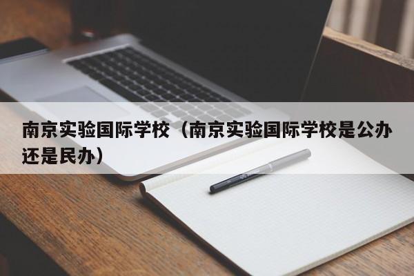 南京实验国际学校（南京实验国际学校是公办还是民办）