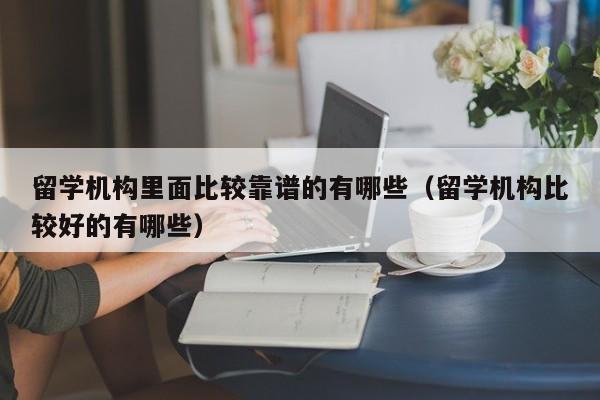 留学机构里面比较靠谱的有哪些（留学机构比较好的有哪些）