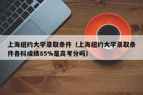 上海纽约大学录取条件（上海纽约大学录取条件各科成绩85%是高考分吗）