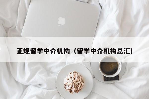 正规留学中介机构（留学中介机构总汇）