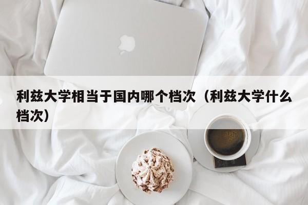 利兹大学相当于国内哪个档次（利兹大学什么档次）