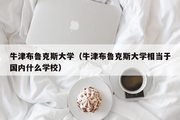 牛津布鲁克斯大学（牛津布鲁克斯大学相当于国内什么学校）