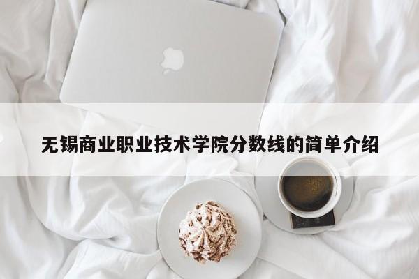 无锡商业职业技术学院分数线的简单介绍